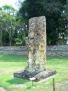 Copan Ruins, Honduras - classic stelae. Copan is known for the large number of stelae. 
