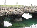 The Tunnels on Isabela Island. The water here was perfectly clear. 