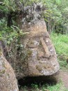Face in the rock on Floreana. Nobody is sure who carved this but it
