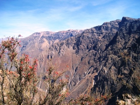 Colca Canyon. This is the viewpoint where we waited early in the morning to catch a glimpse of the Andean Condors. 