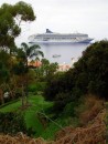 Avalon was very busy during the day as cruise ships tendered passengers to shore.  On this day, two ships were at anchor.