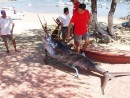 Ztown is also known for its sport fishing.  Check out the size of this Marlin!