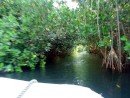Besides being an awesome anchorage, Tenacatita has a 3 mile long river through a mangrove swamp.  At the end of the river is a b