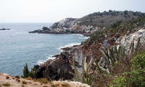 Isla Pasavera is a very rocky island covered with cactus and scrubby little bushes.  Take away the cactus and it