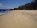 The best palapas sites right on the sandy beach were already spoken for.  However, one had not bee paid for yet.  So, I put in a