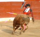 After the picadores the matador grabs two decorated spikes.  His job is to stick these into the shoulder muscles of the bull sim