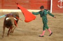 This matador was by far the best.  His motions were incredible and his actions were precise.