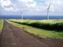 After the Waipio Valley we drove to the extreme North end of the island.  Here is the channel between Hawaii and Maui.  We have