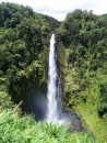 With all the rain, it is not surprising that stunning waterfalls are everywhere.  This is Akaka falls, just a few miles North of