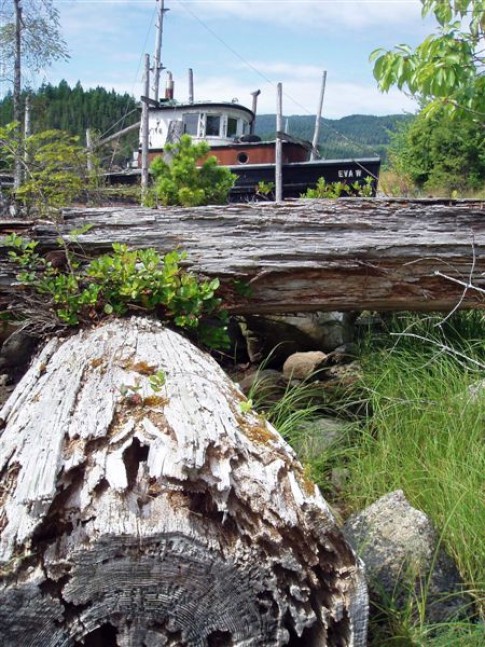 Owen Bay has a history of logging and fishing. When the community packed up in the early 50