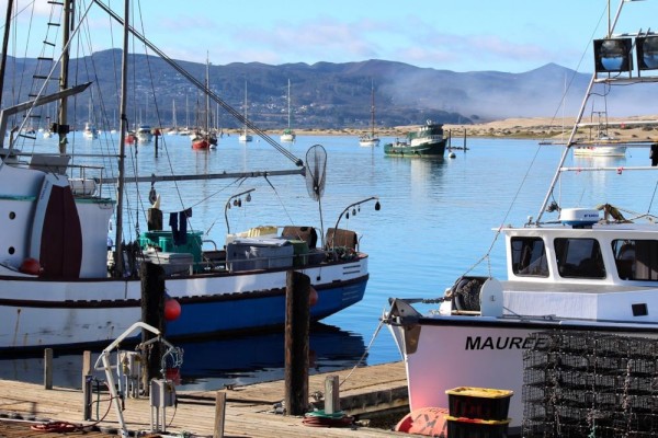 Morro Bay is a fishing village that has a touristy side as well