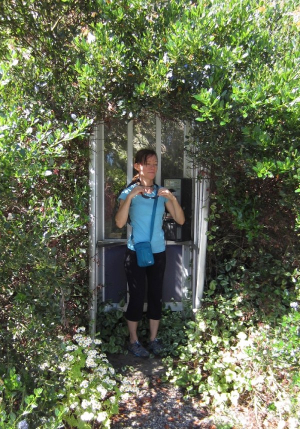 a very overgrown, but working, telephone booth at Whaletown, Cortes I