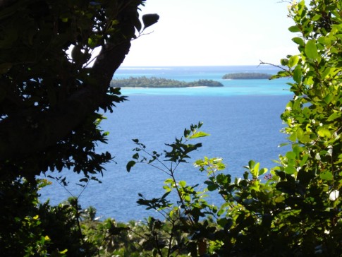 Tonga vista.