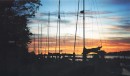 sailboats at sunrise