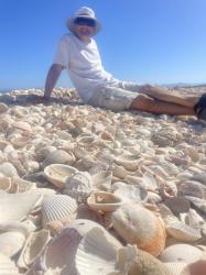 Allan on the Beach - Mesquitito