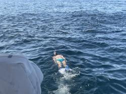 Alison Swimming With a Fever of Mobula Rays!
