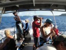 Michael looks for whales, or maybe for the capsized 57-foot catamaran ...