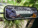 At the Australia Zoo, I found my namesake. Although, I think I