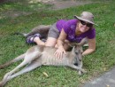 Alison with lazy kangaroos at the Australia Zoo. They were very docile and let us pet them.