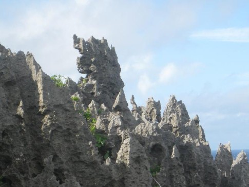 Niue: Prehistoric coral formations rise fron the shore to hundreds of feet inland and hundreds of feet high.