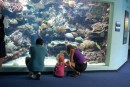 Allan, Siobhan and Allan at the aquarium