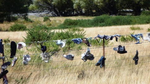 This is an inexplicable yet common theme throughout NZ: shoes and other clothing bits strewn on fences along the roadside. This one included some bras and panties...