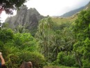 Fatu Hiva: Along the hike to the waterfall