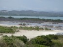 Salt ponds in the nature reserve below the lighthouse.