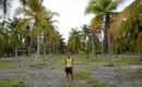 Coconut Fields