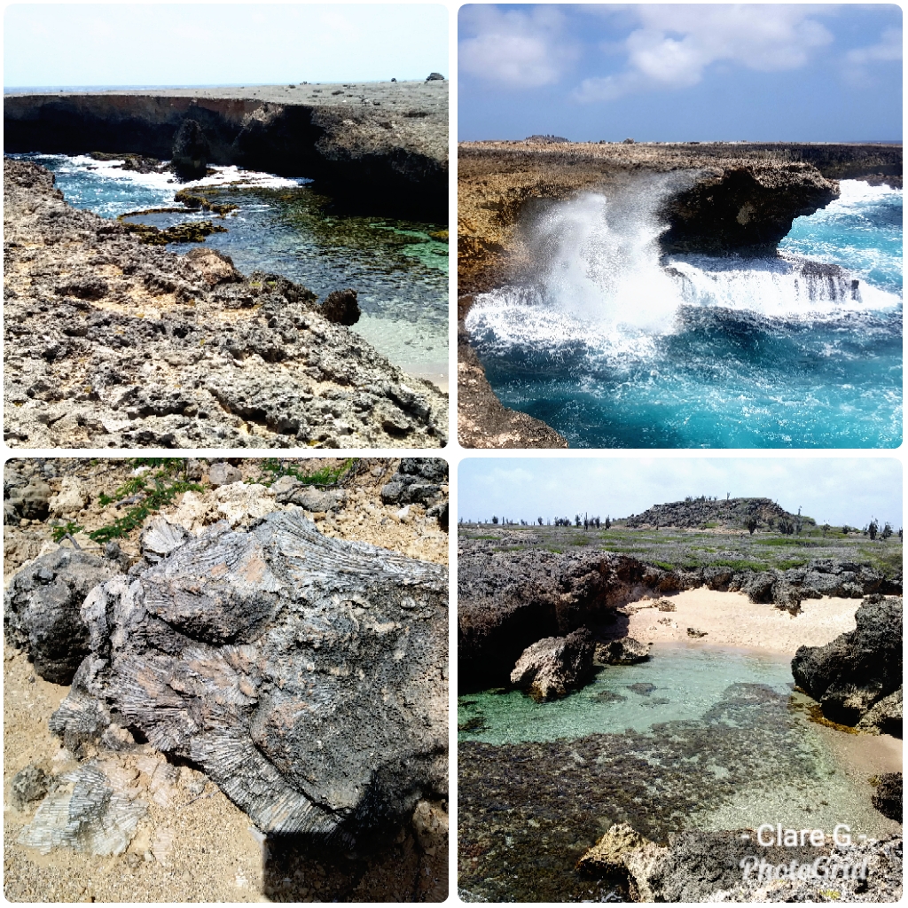 Bonaire seascapes