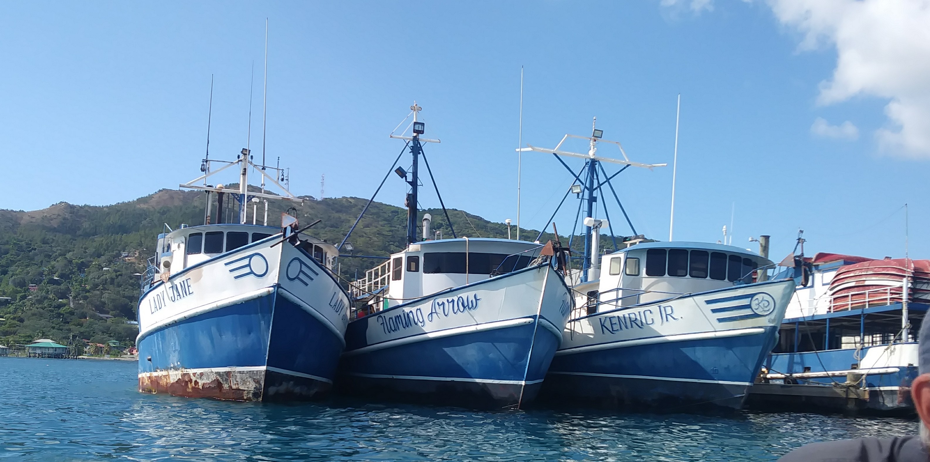 fishing fleet