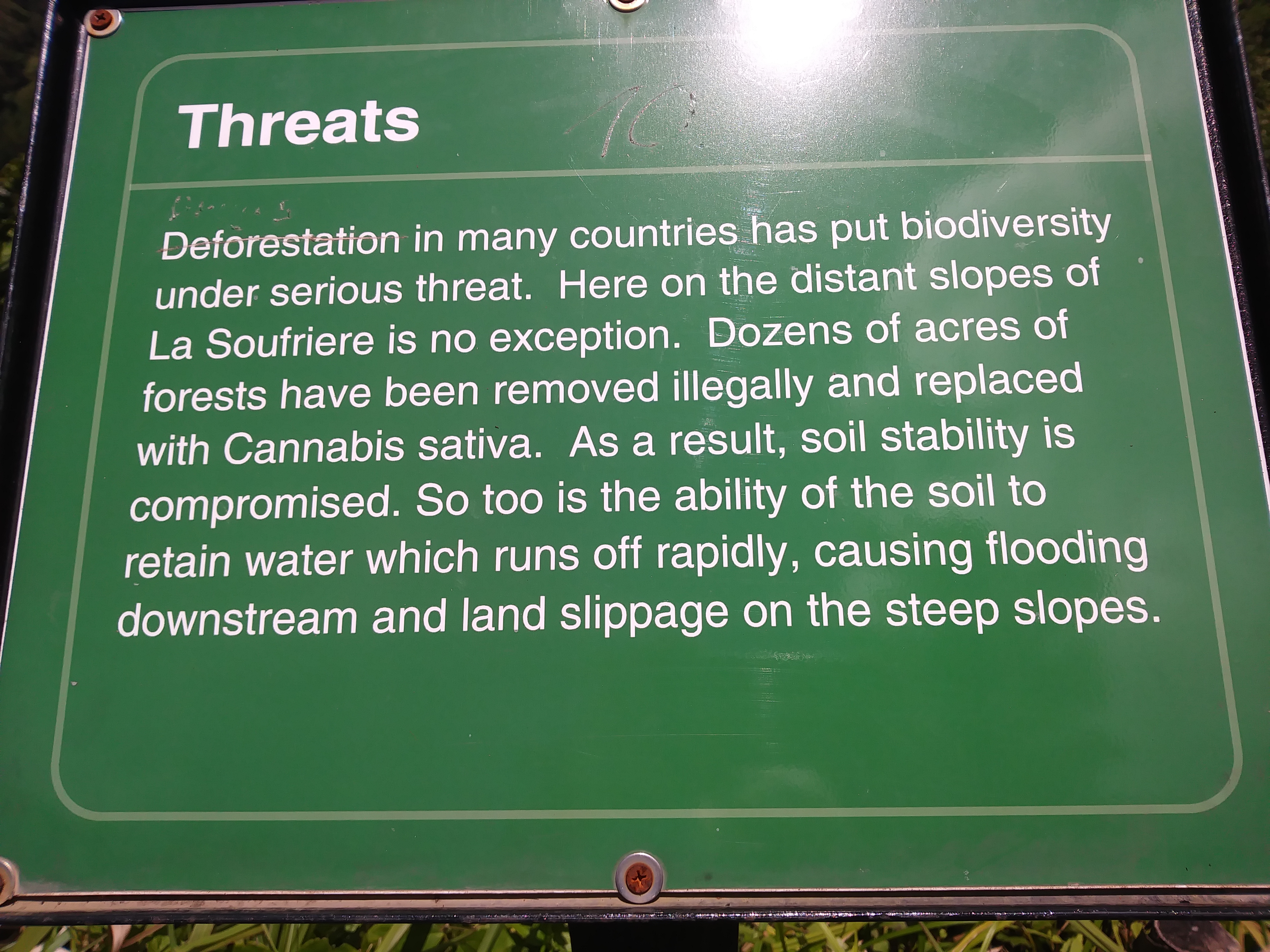 Cannabis Tourist Information
