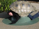 Grammy playing turtle at the zoo. The Roberts like to have fun.