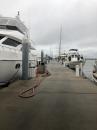 Mega dock- Charleston City Marina