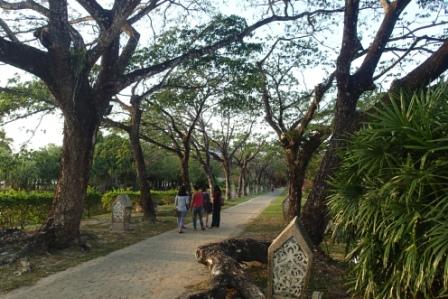Park Kuah
