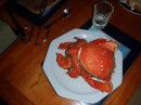 spanner crab