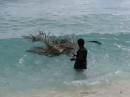Ranger Reeves with rocks to throw at sharks in his left hand extends a palm frond as cover to the babies 
