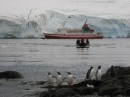 The "Explorer" arrives at Brown Bluff, Antarctic Peninsula