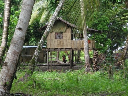 Traditional New Ireland house in the bush outside of Kavieng, New Ireland