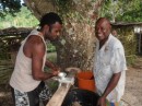 Grinding kava in Sola for a celebration of Vanuatu
