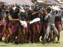 Big nambas group from northern Malakula