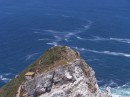One of the views from Cape Point - this is not Cape Point but another point nearby