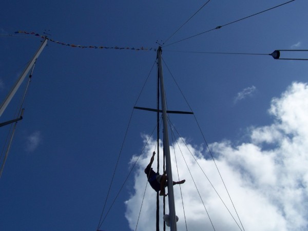 Right before we left on the parade of sail, we had some trouble with our flags.  Stuart (s/v Peat Smoke) raised Mark up the mast to retrieve them!