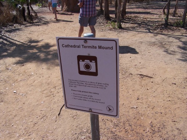 The Termite Mounds!