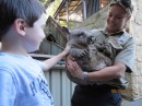 Jake pets a wombat.