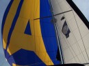 Flying our spinnaker and jib - wing on wing