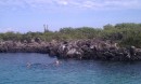 Lobos Isla - where we snorkeled with the sea lions