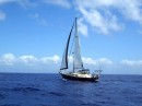 At Last sailing into Salvador de Bahia (photo taken by s/v Sophie)
