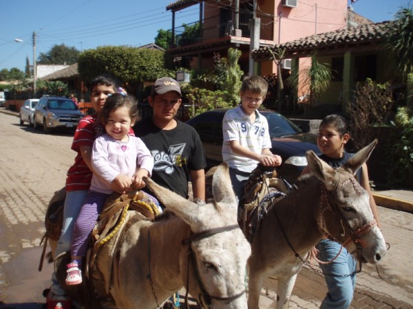 Donkey rides.  They said I was too big... :(