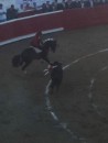 Champion matador from Spain bullfighting from horseback